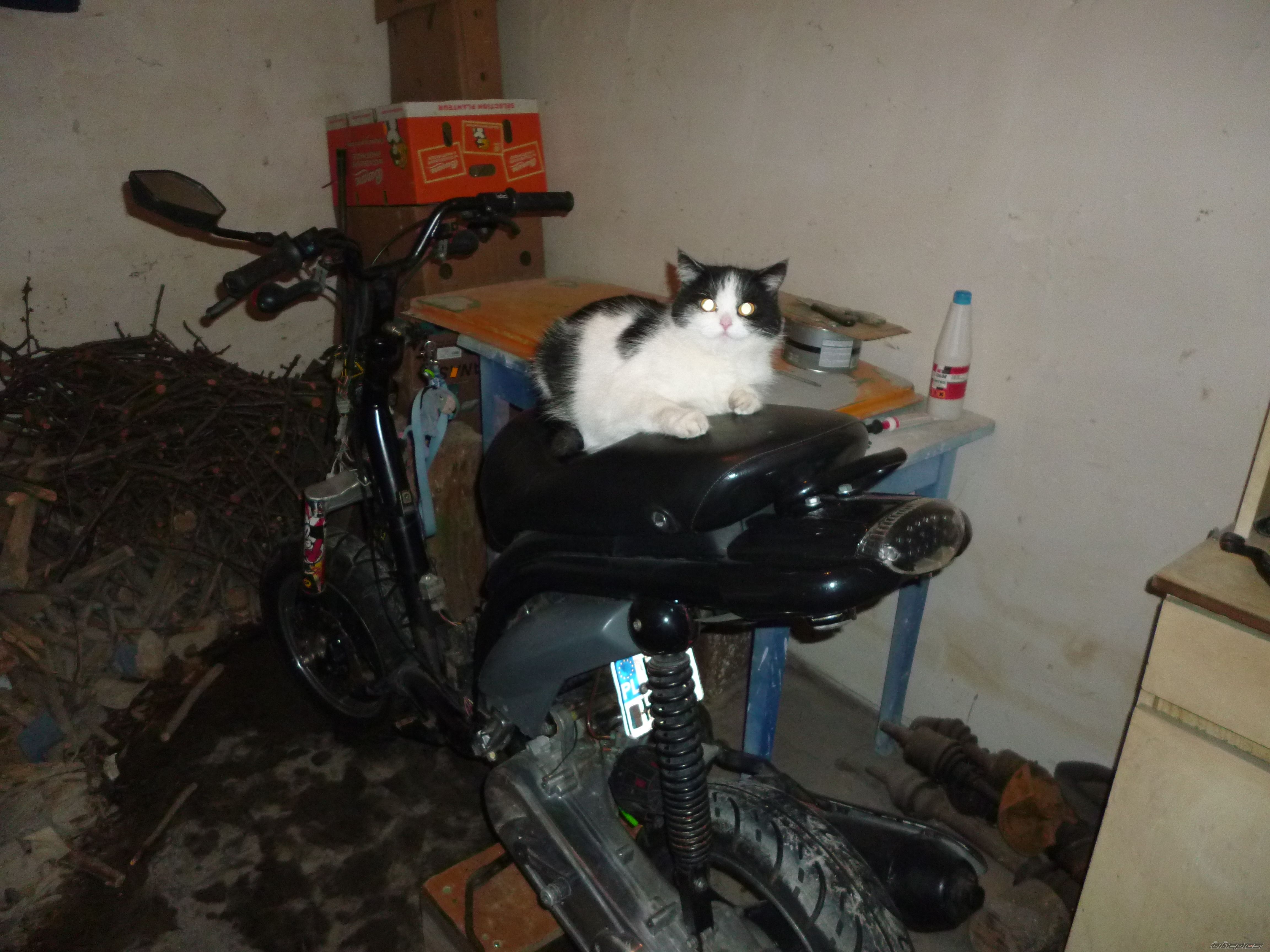 Photo 2515764