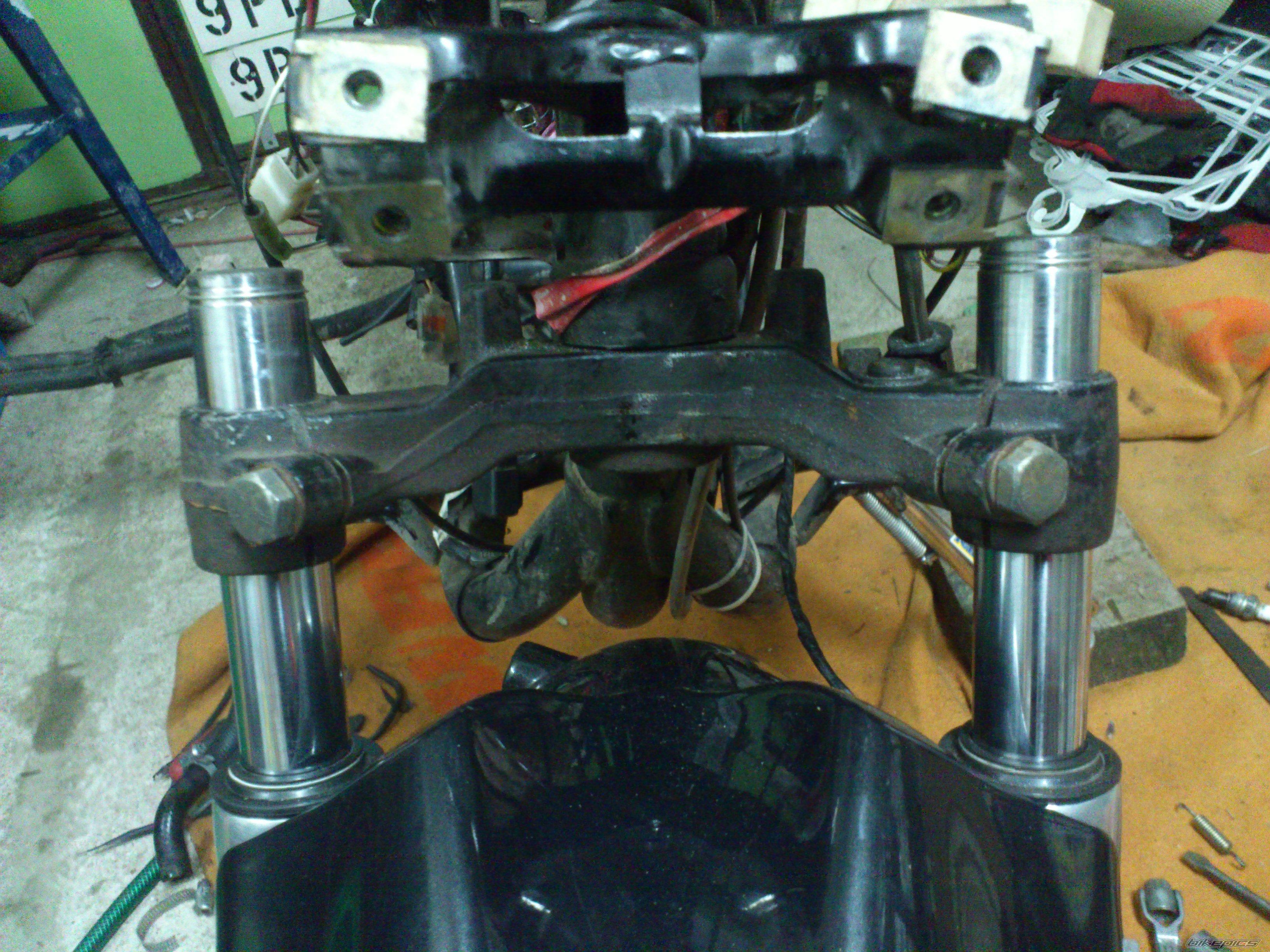 Photo 2515794