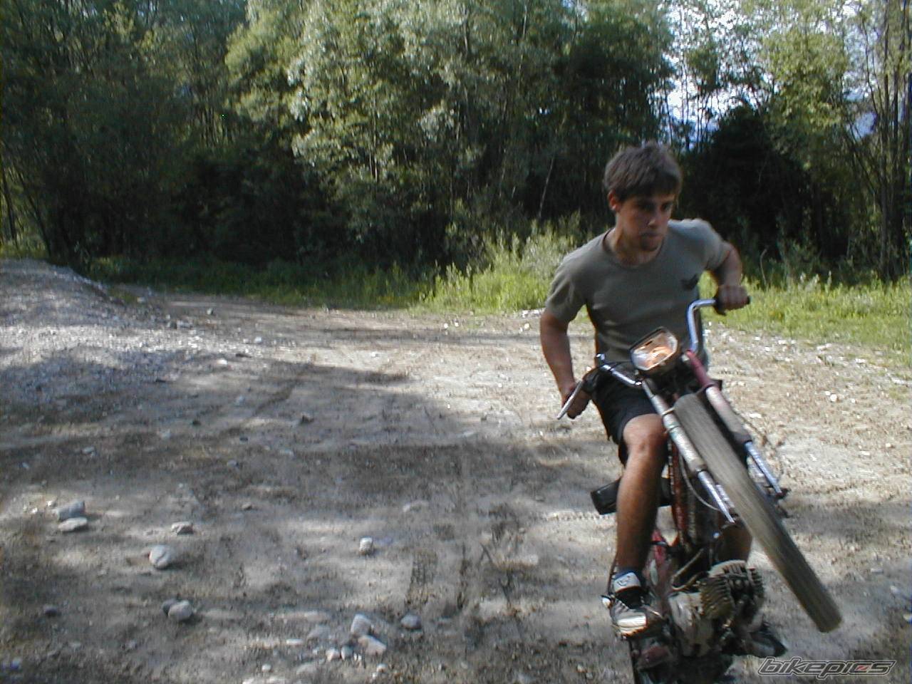 Photo 251599