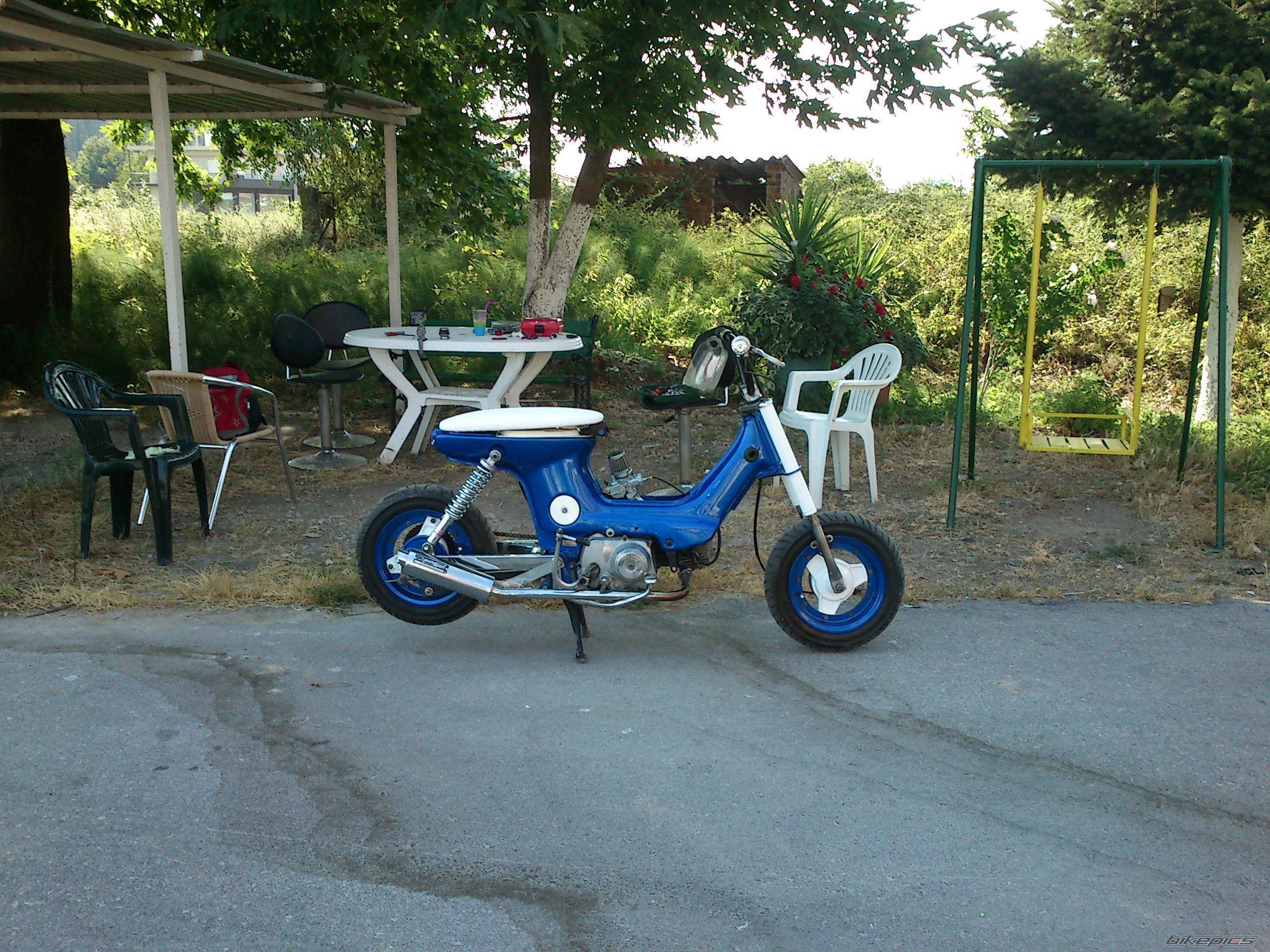 Photo 2516112