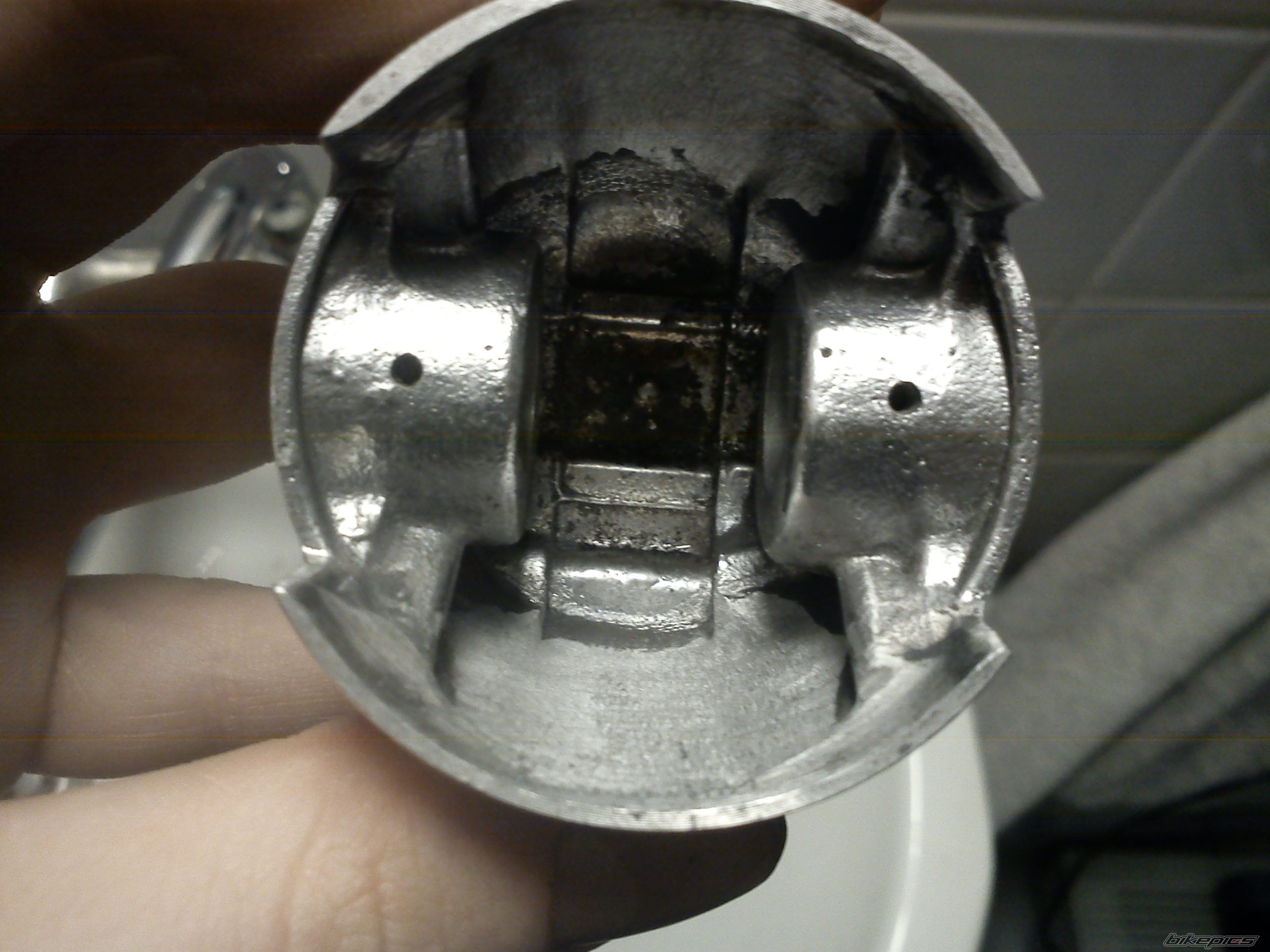 Photo 2516282