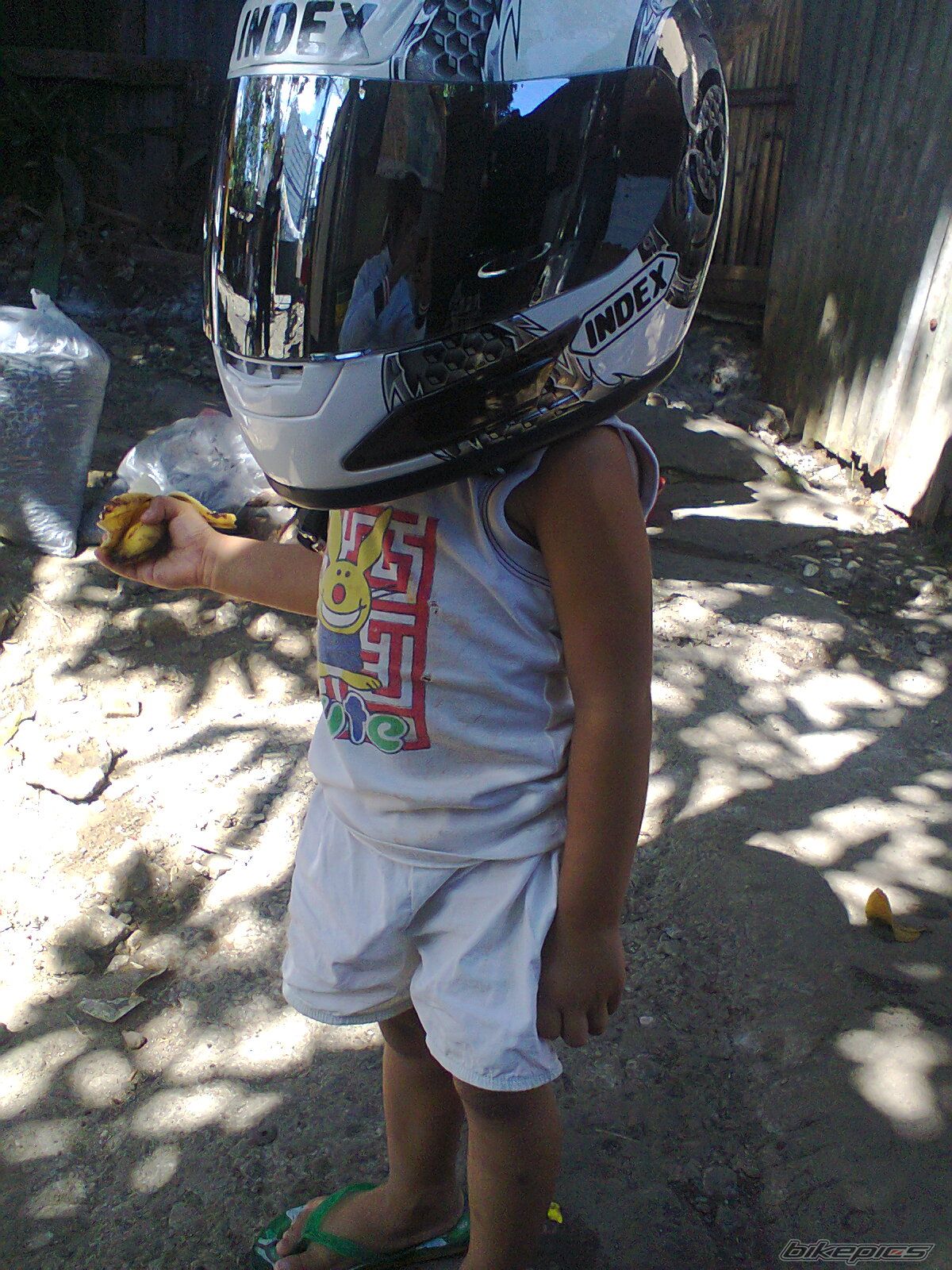Photo 2516338