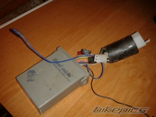 Photo 2516494