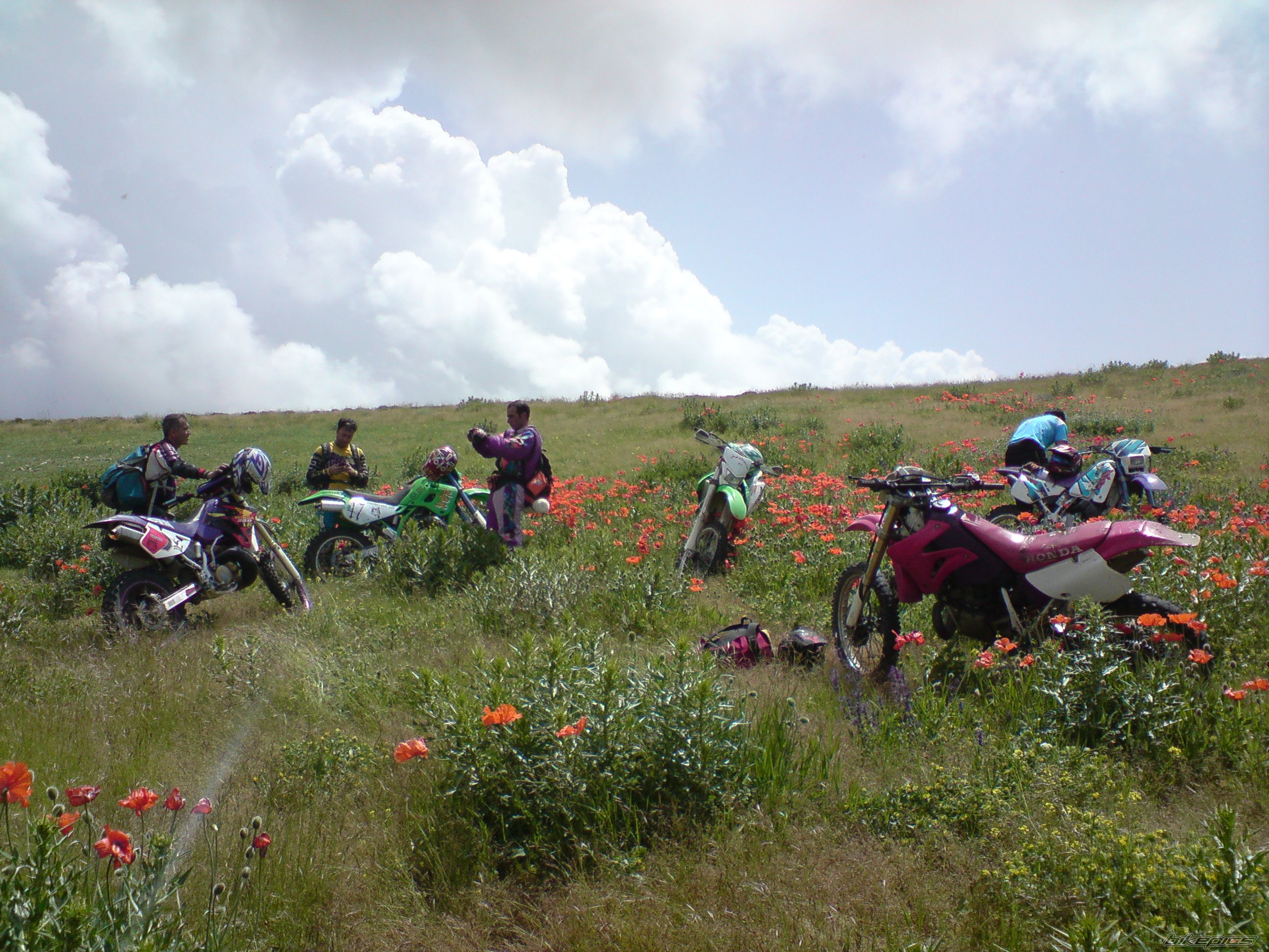 Bike Photo 2516530