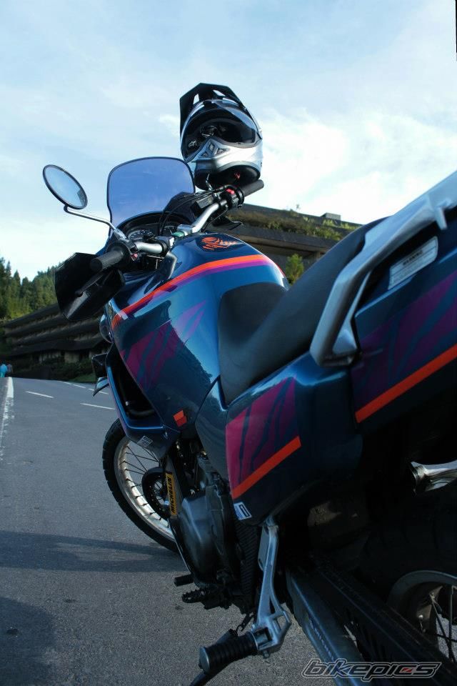 Photo 2516551