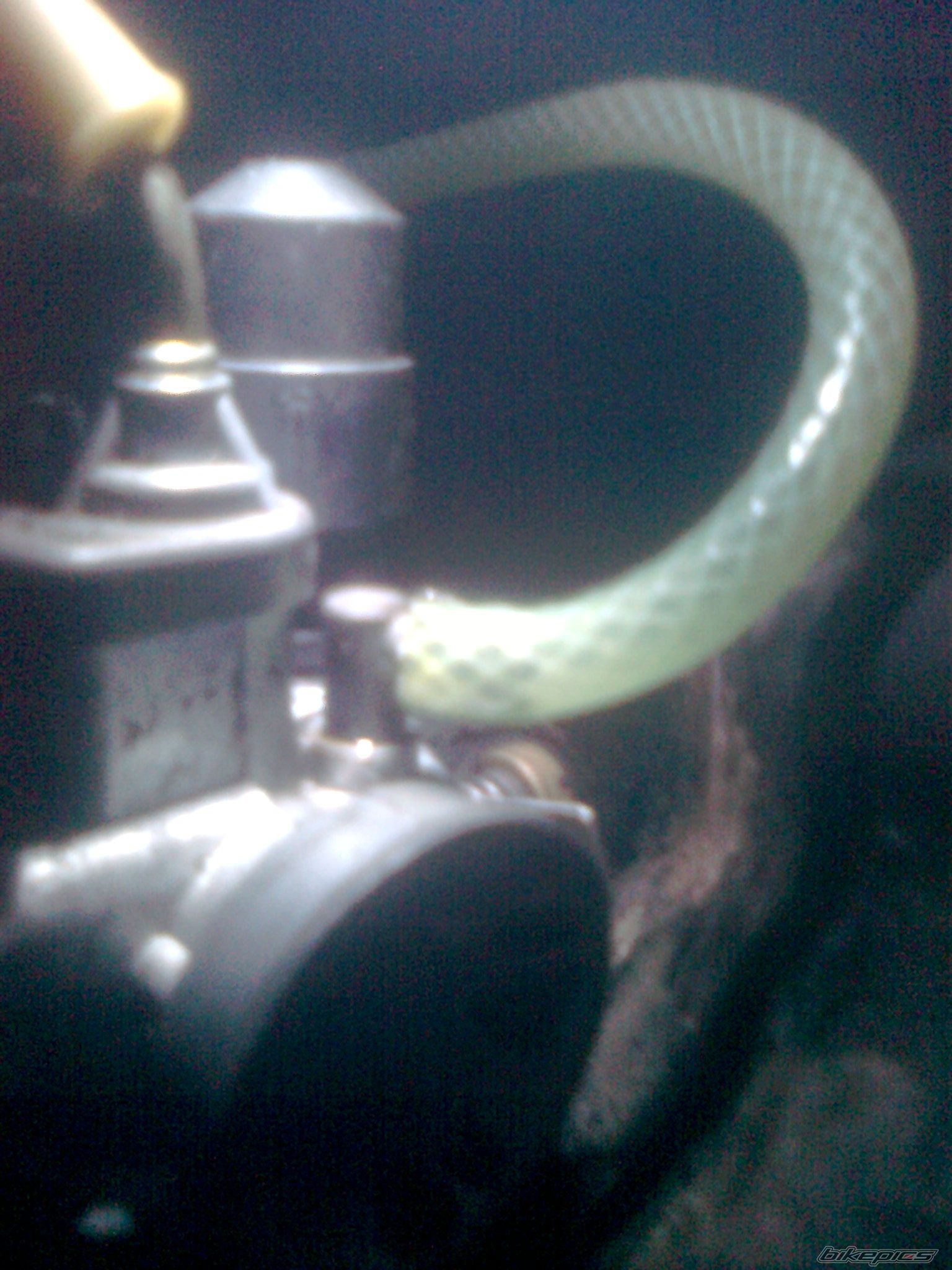 Photo 2516642