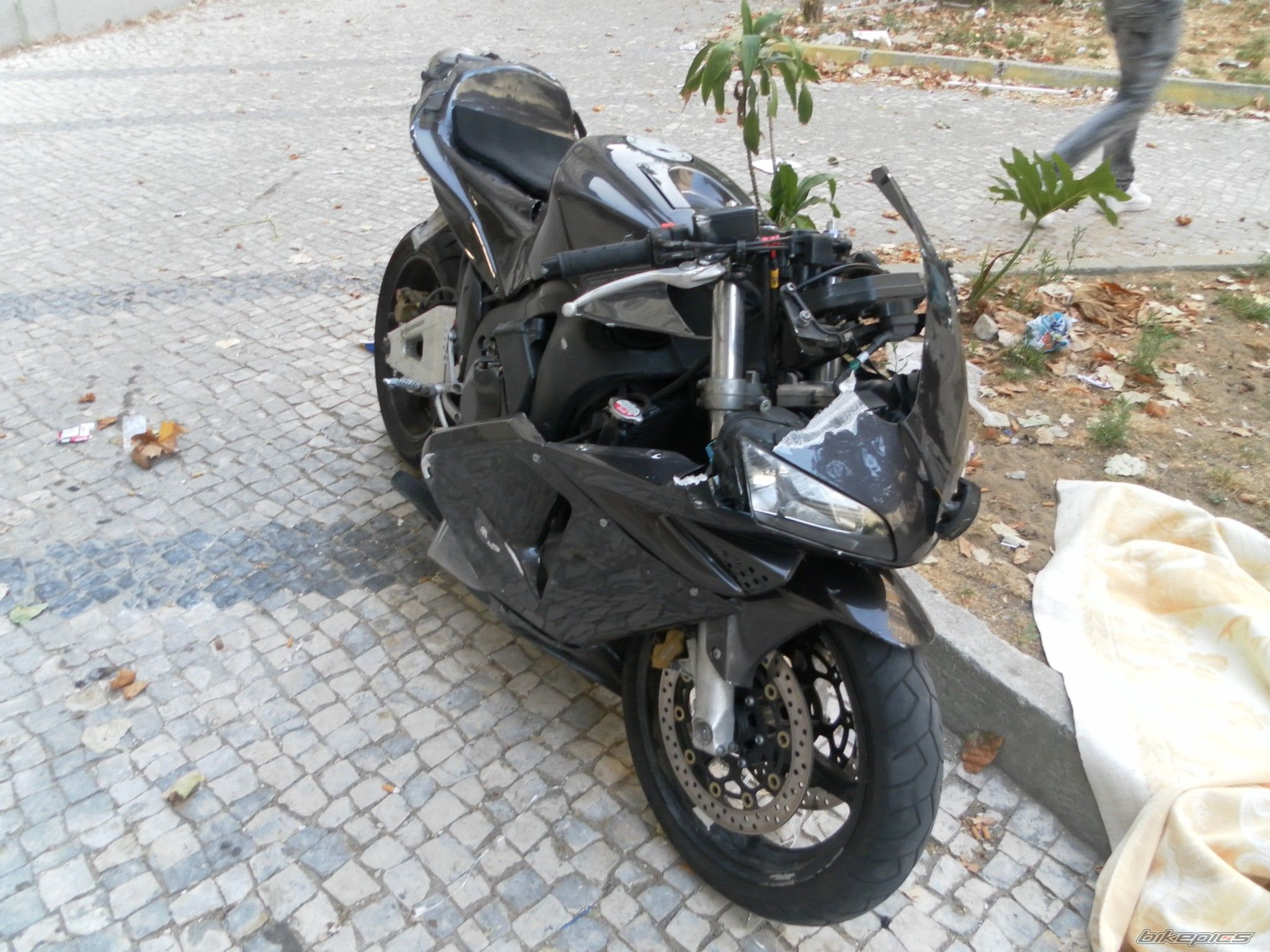Photo 2516673