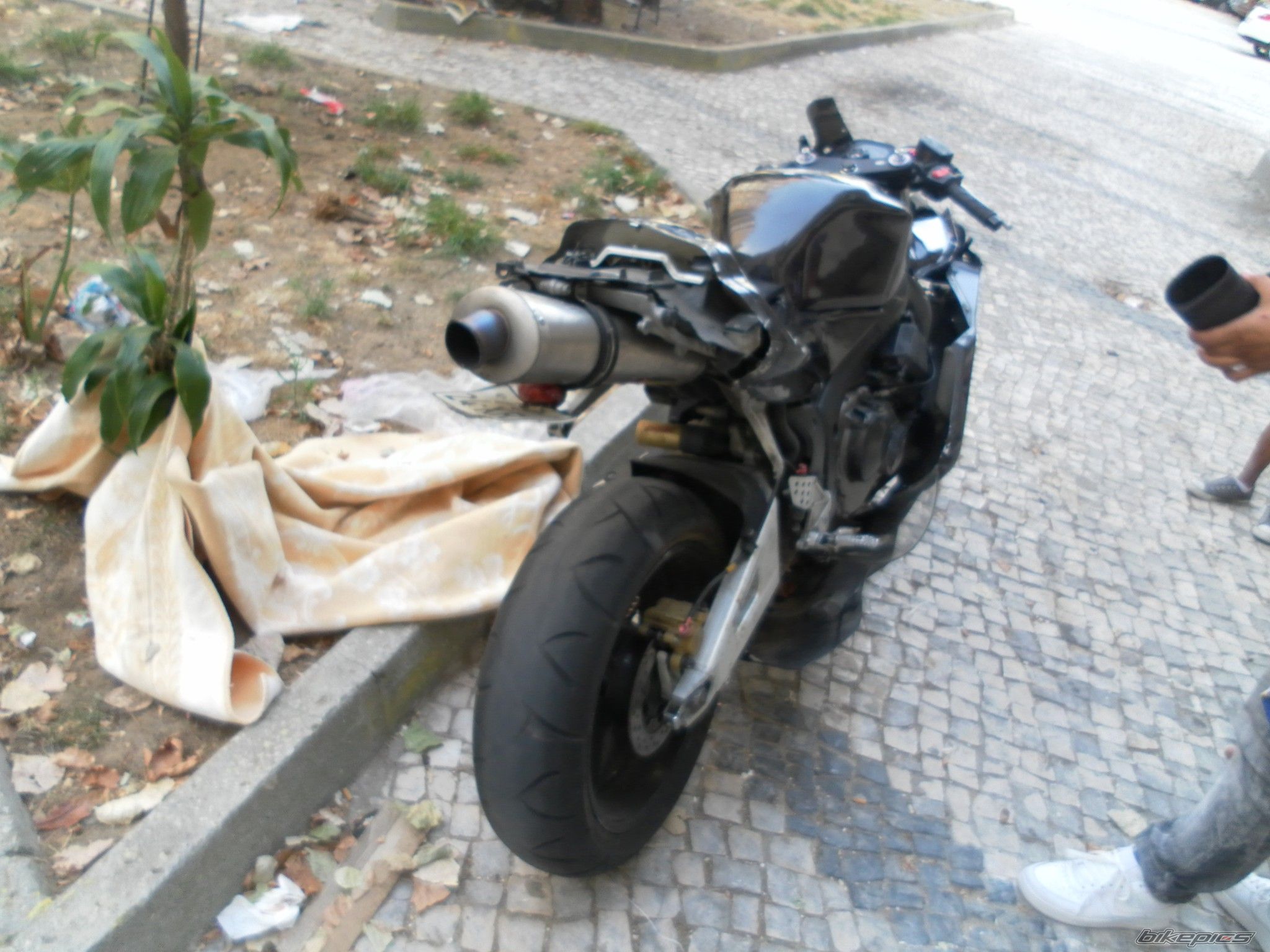 Photo 2516679