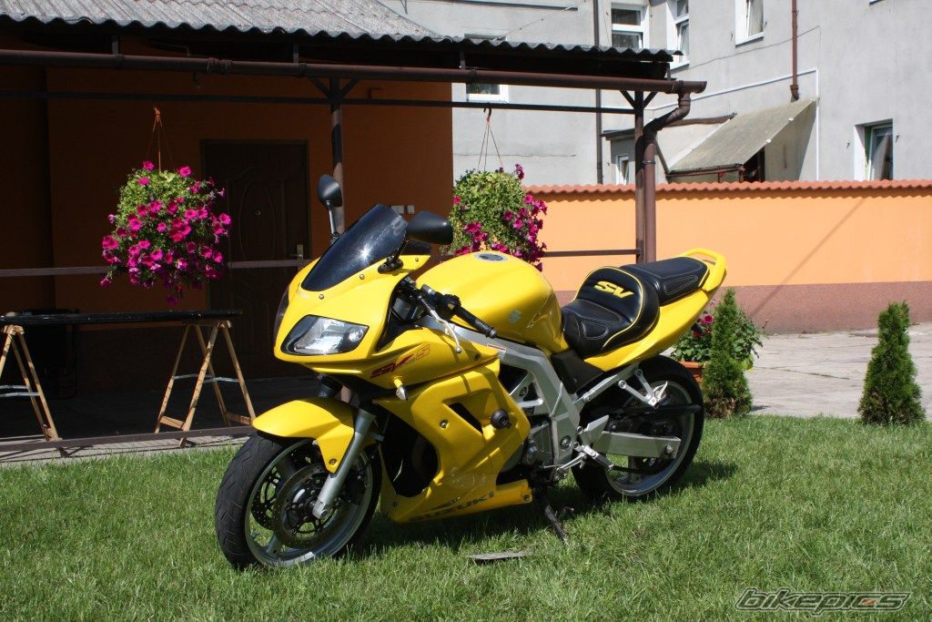 Photo 2516798