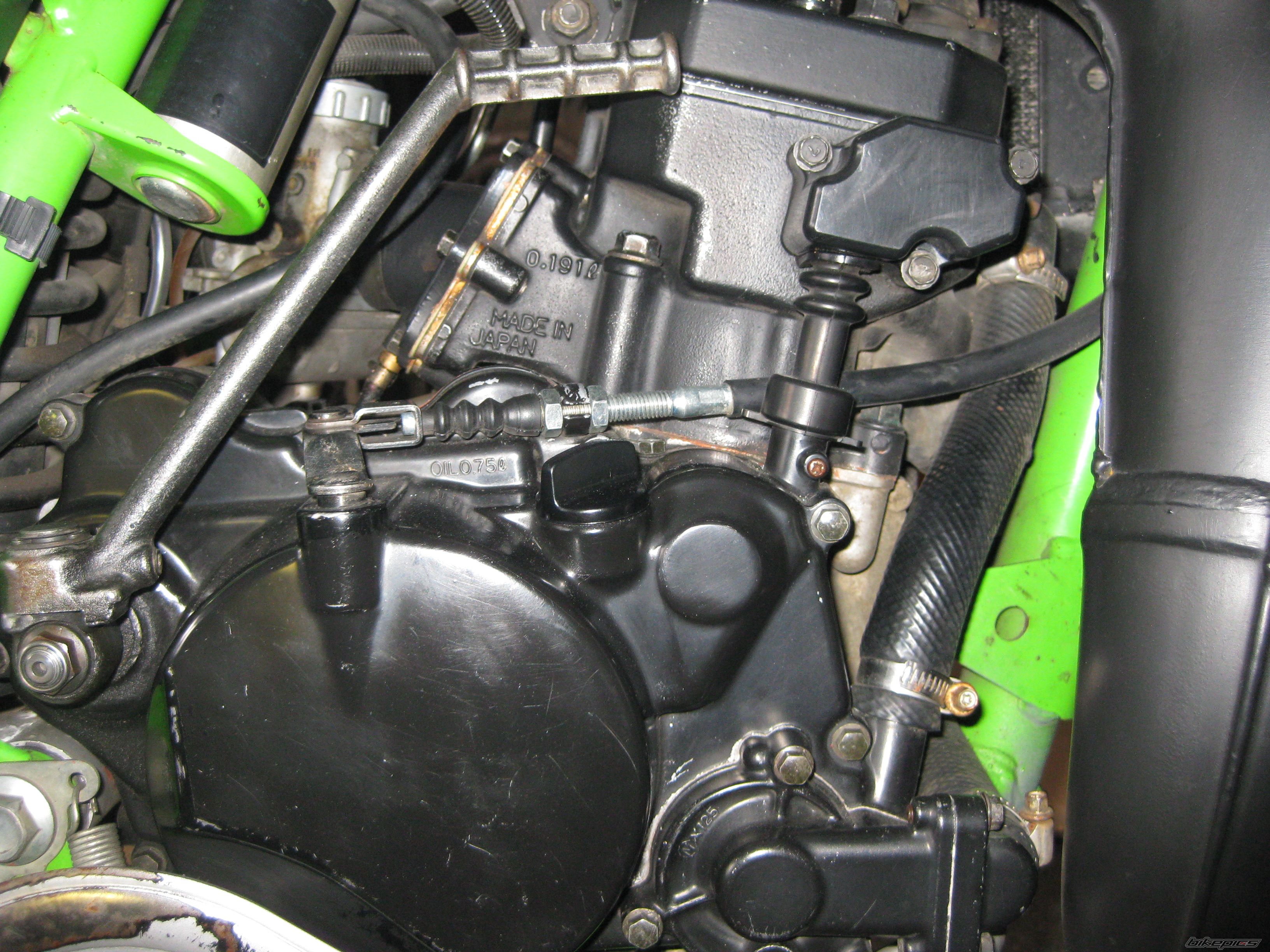 Photo 2516982