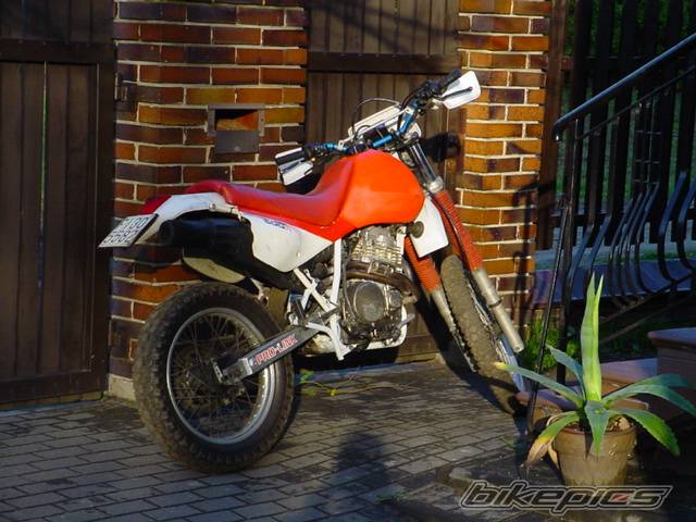 Photo 25170