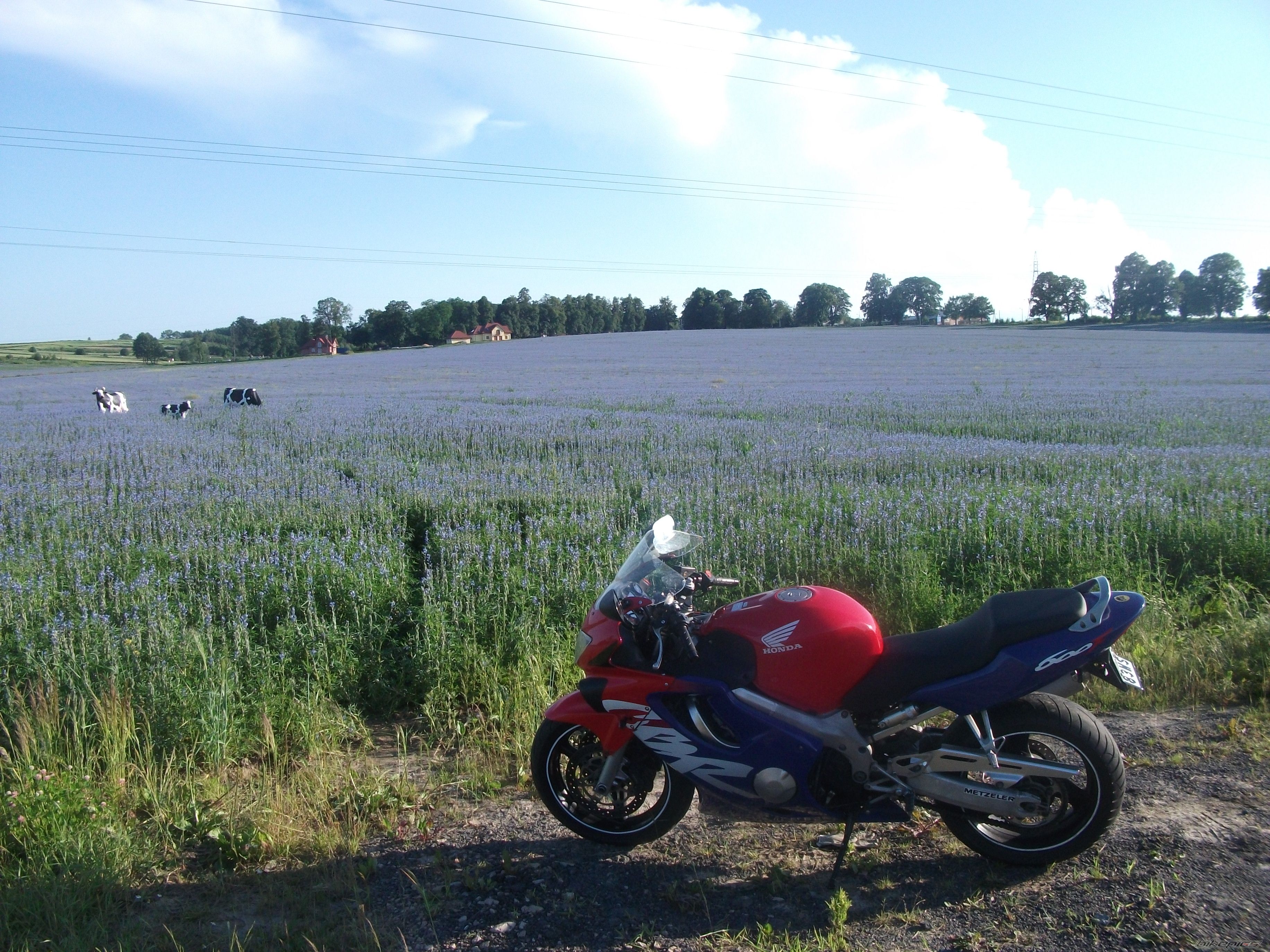 Bike Photo 2517032