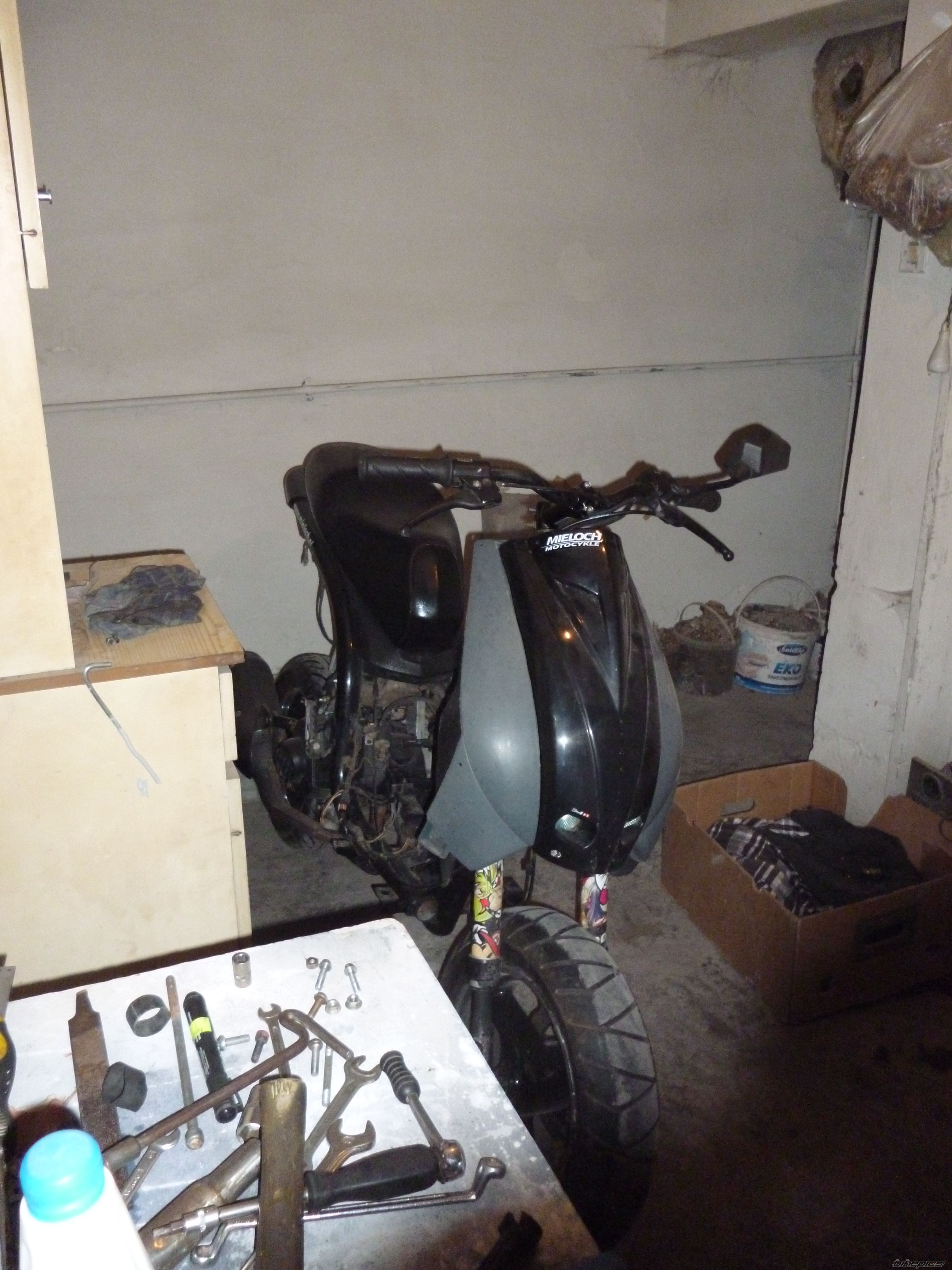 Photo 2517119