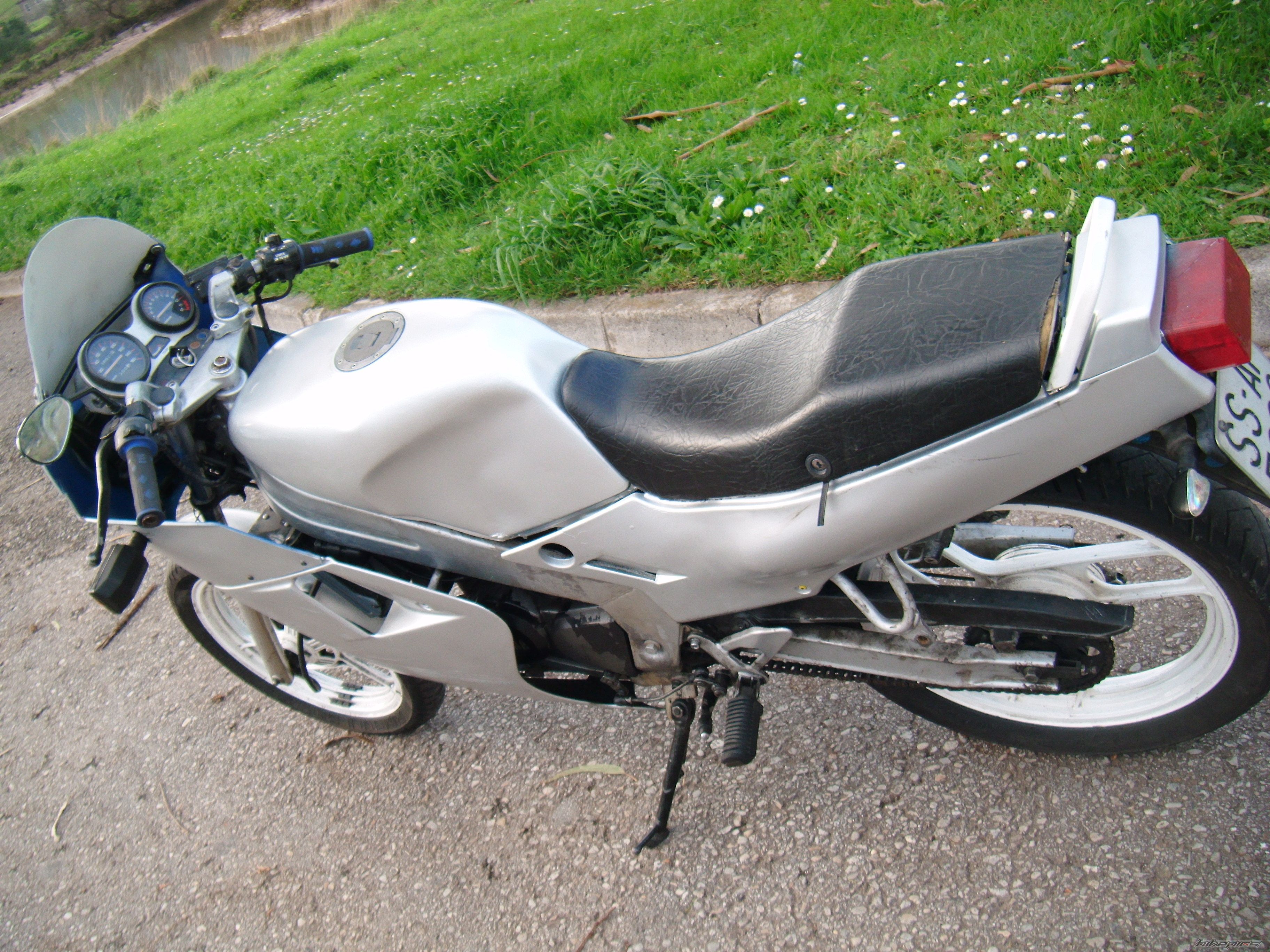 Photo 2517120