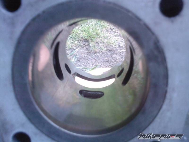 Photo 2517253