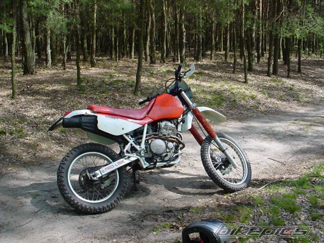 Photo 25173