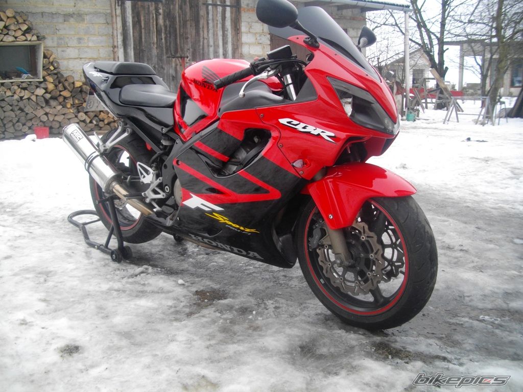 Photo 2517369