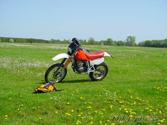 Photo 25174