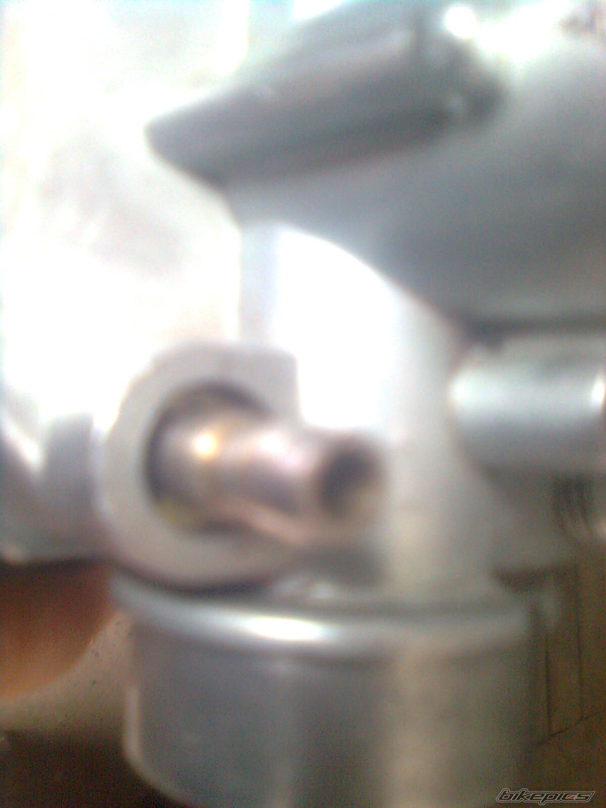 Photo 2517404