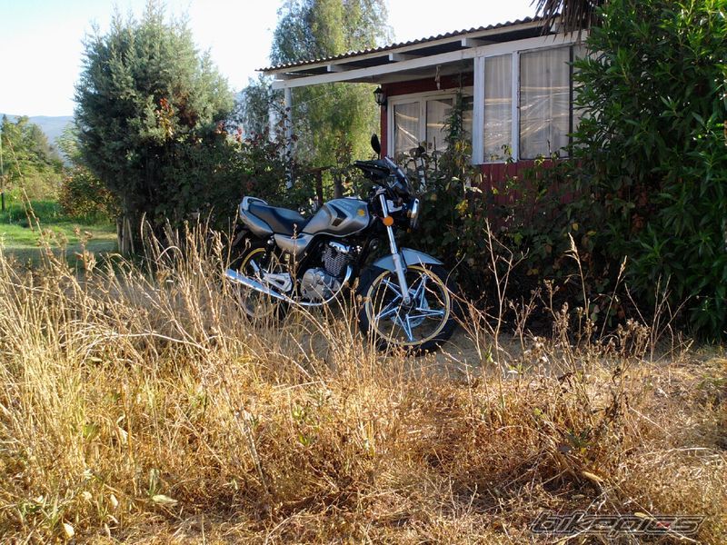 Photo 2517409