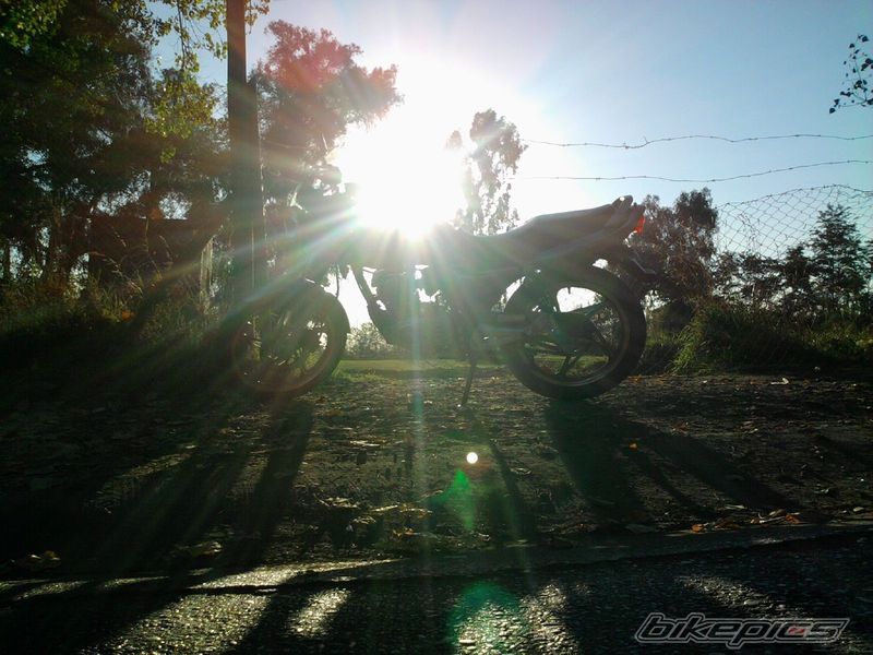 Photo 2517410