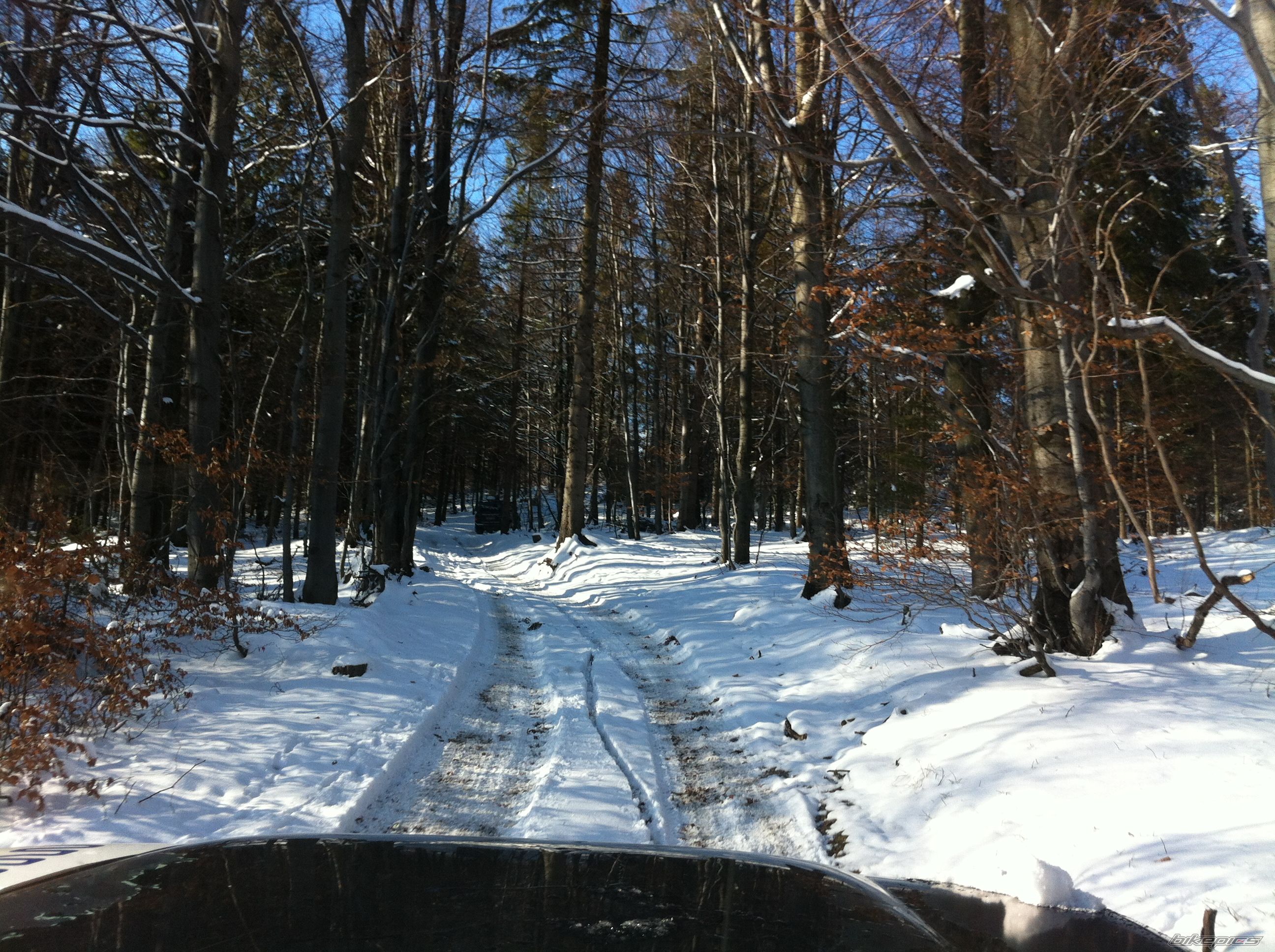 Photo 2517486