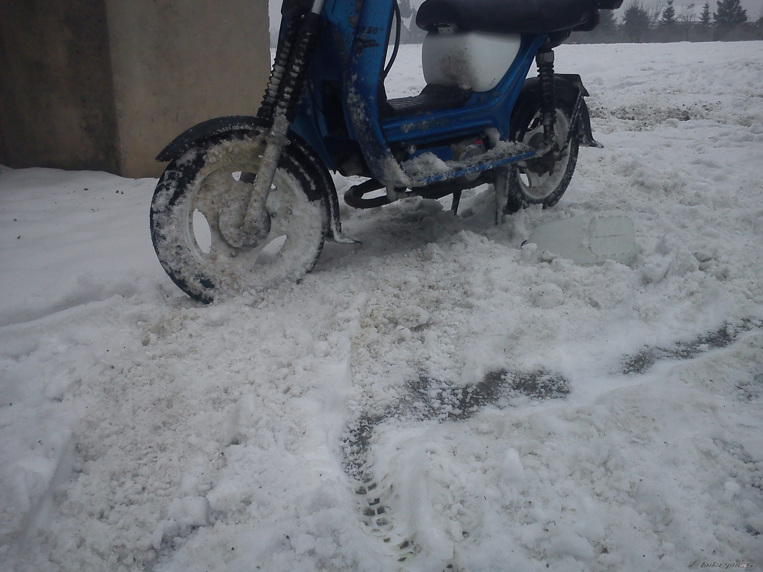 Photo 2517495