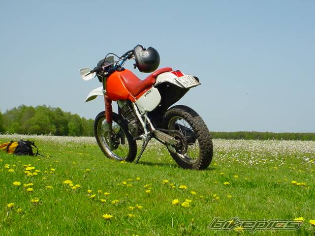 Photo 25175