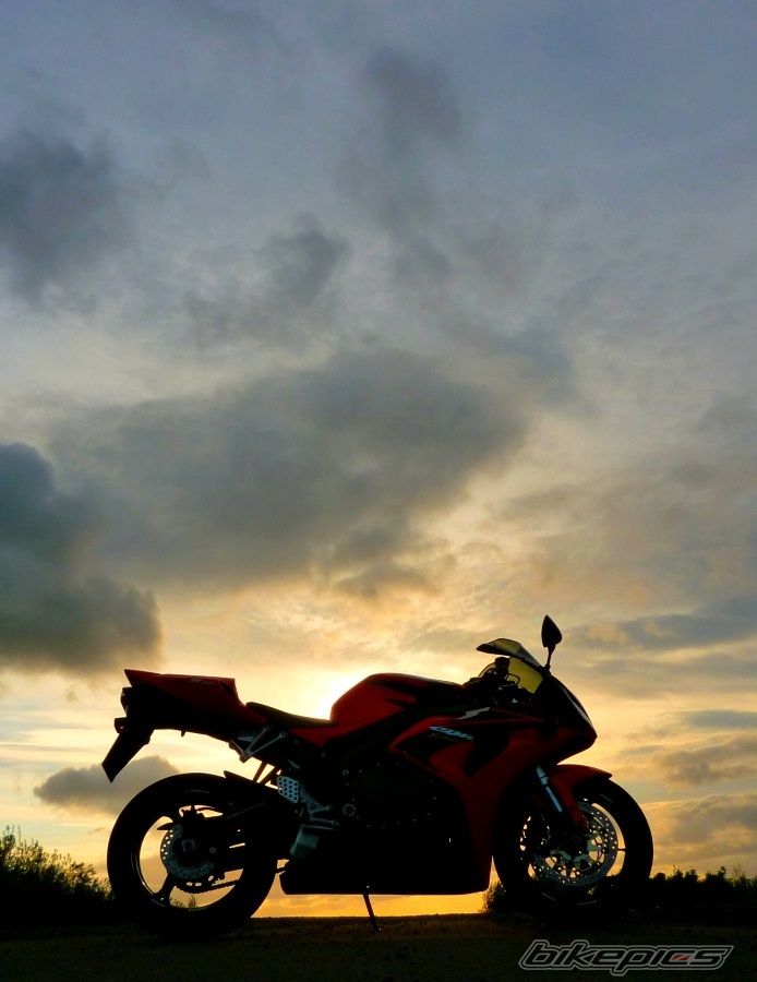 Photo 2517562