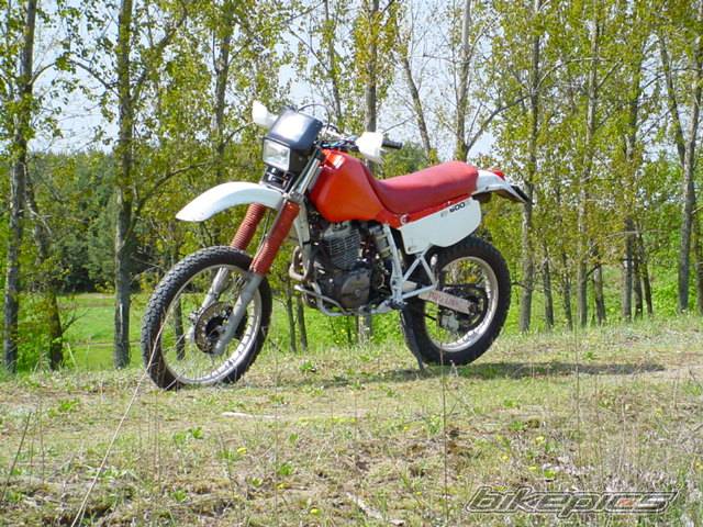Photo 25176