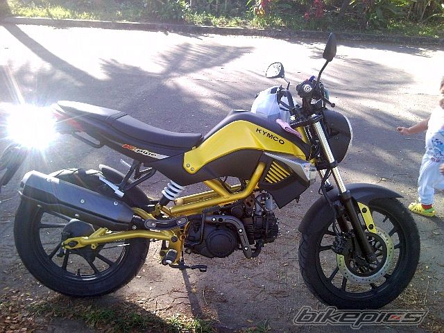 Photo 2517618