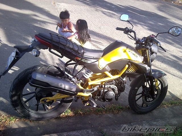 Photo 2517623