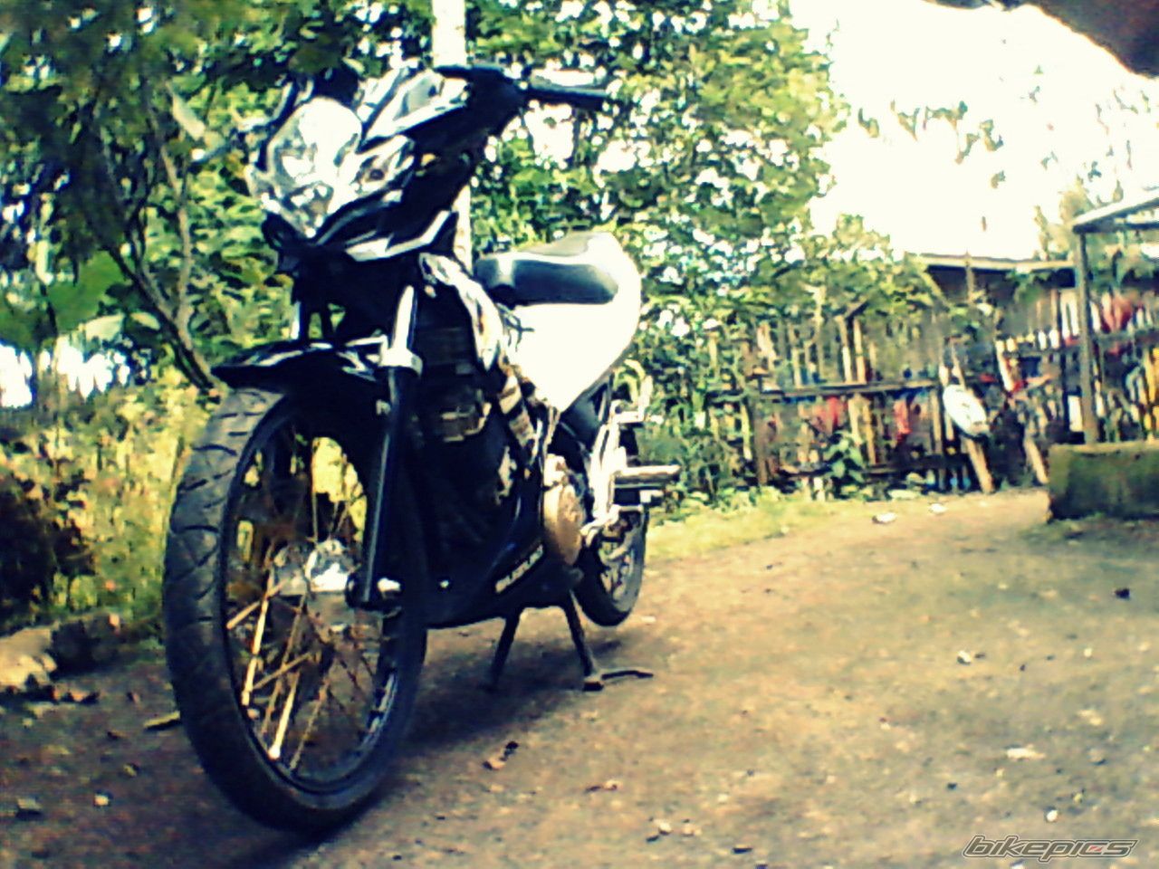 Photo 2517632
