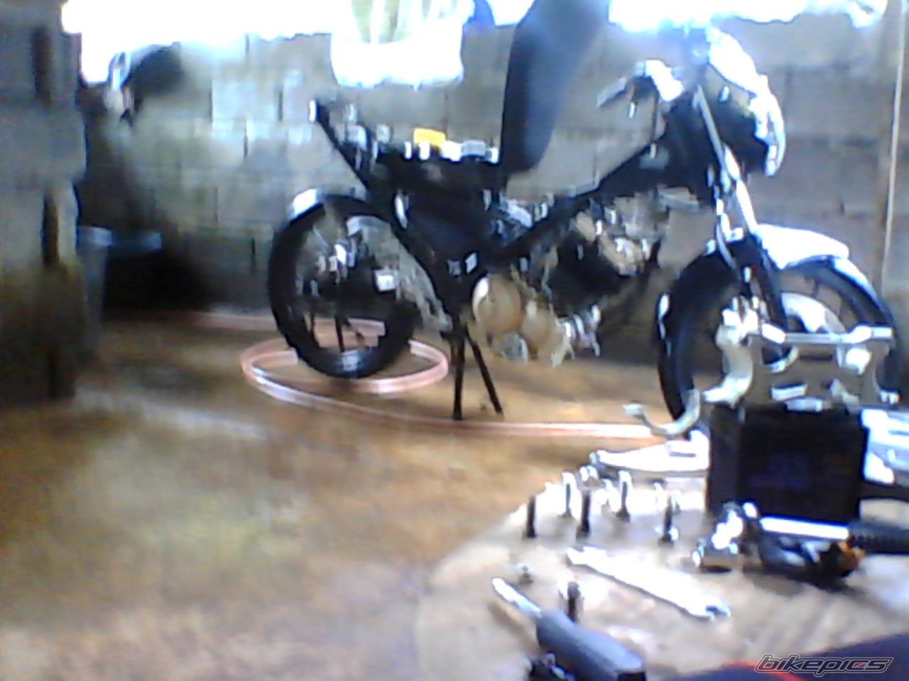Photo 2517638