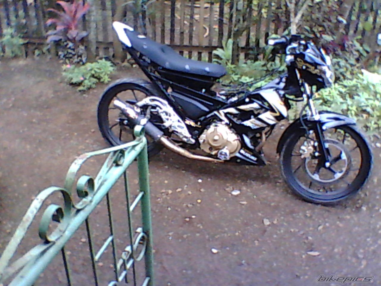 Photo 2517641