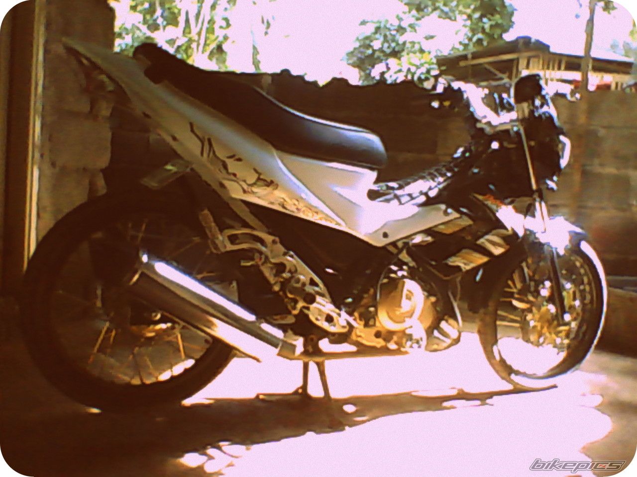 Photo 2517678