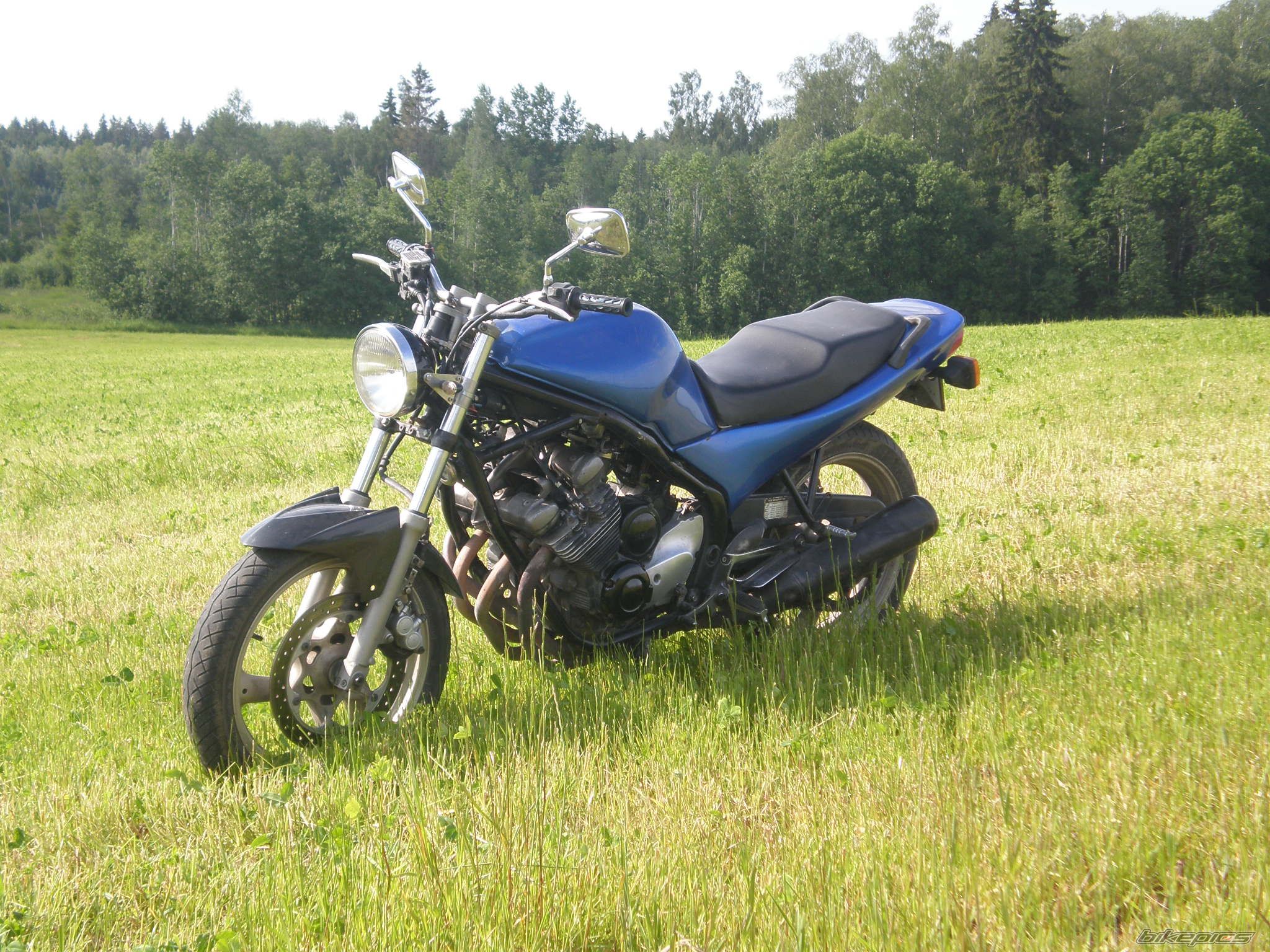 Photo 2517720
