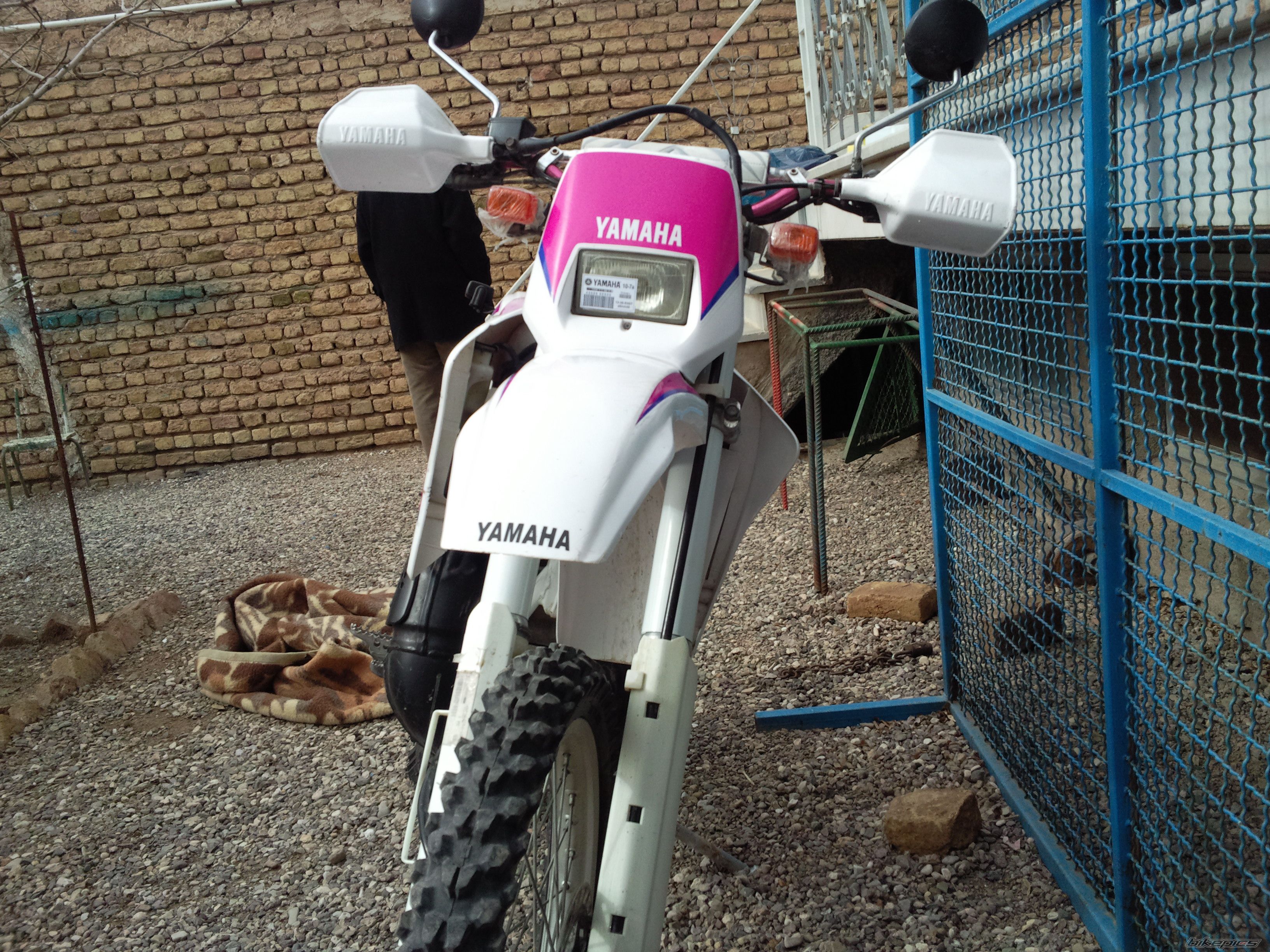 Photo 2517728
