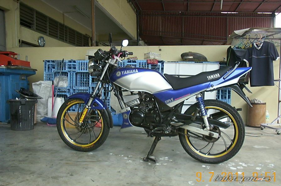 Photo 2517779