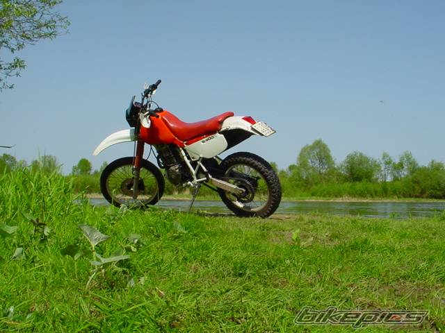 Photo 25178