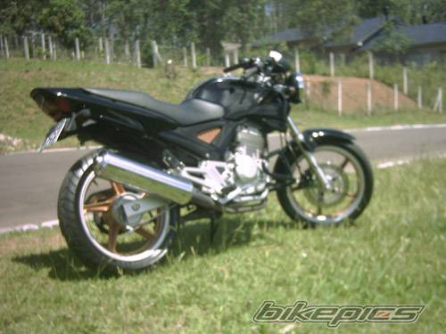 Photo 251782