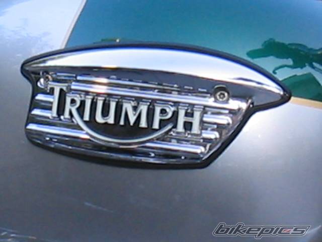 Photo 251785