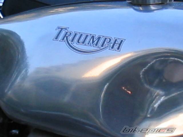 Photo 251786