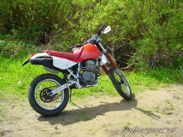 Photo 25179