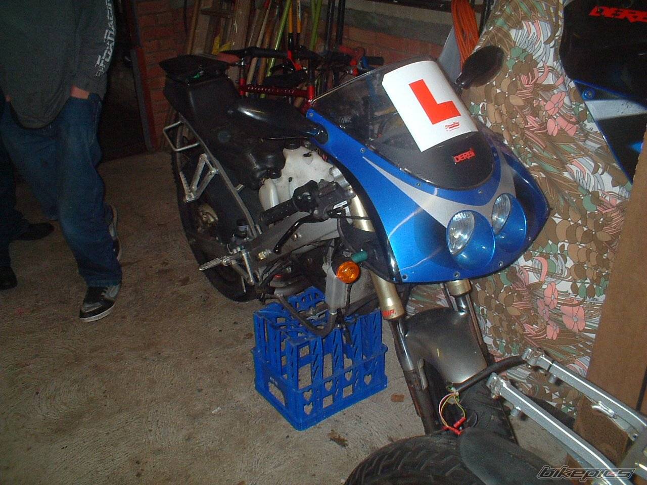Photo 251796