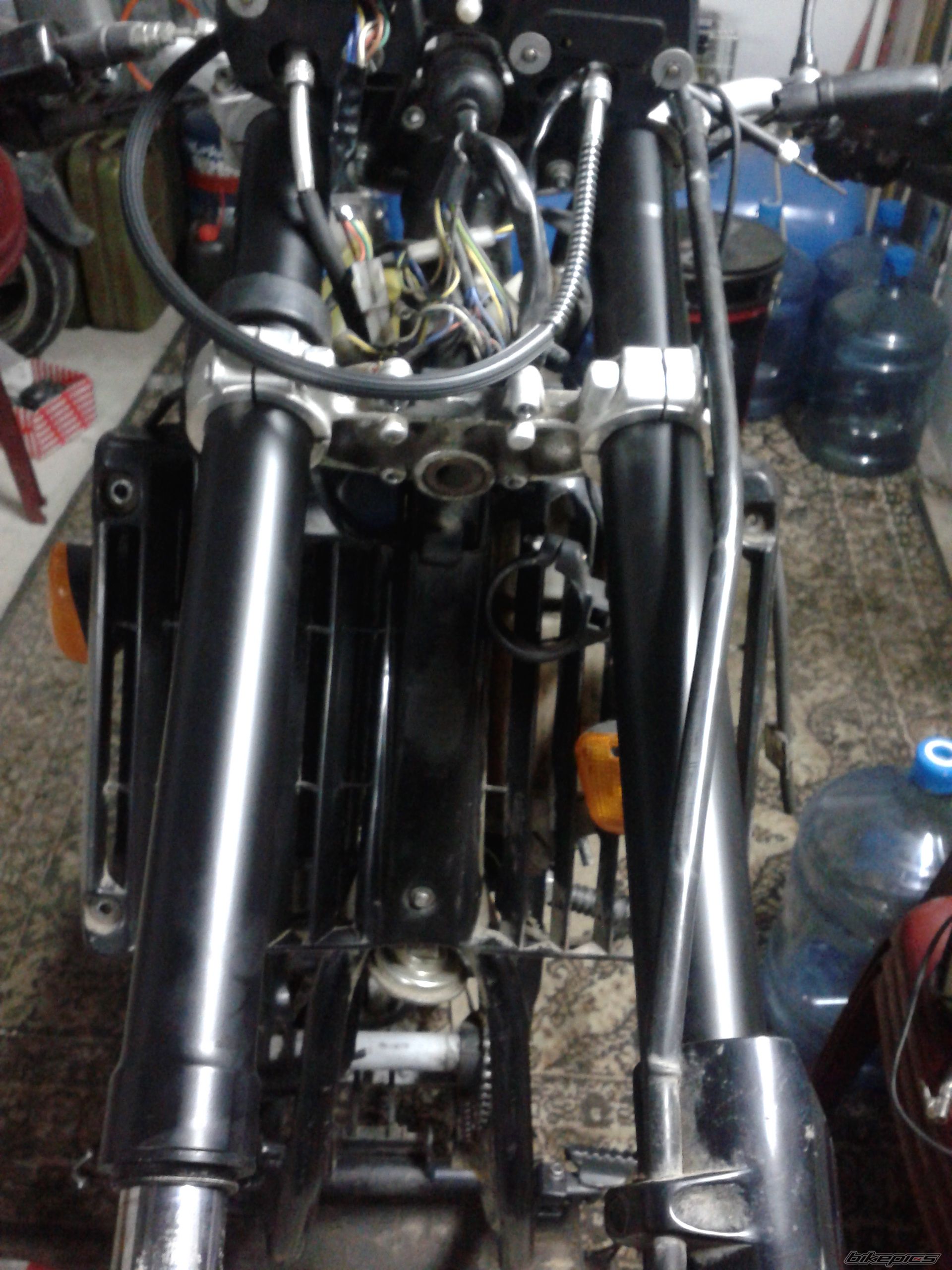Photo 2517974