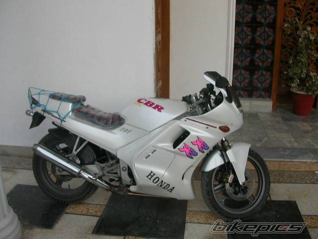 Photo 251799