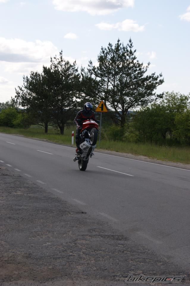 Photo 2518127