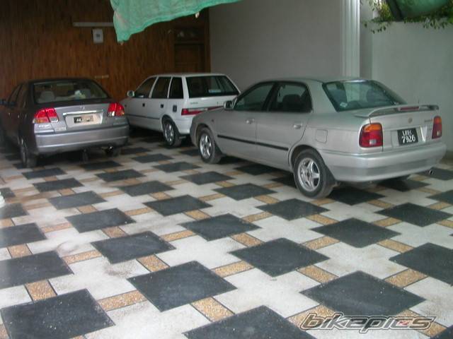 Photo 251814