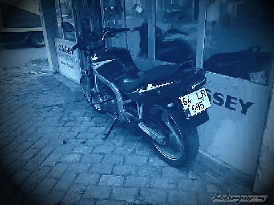 Photo 2518156